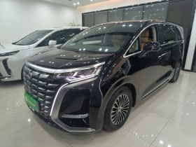 腾势D9 2024款 DM-i 980 四驱尊荣型