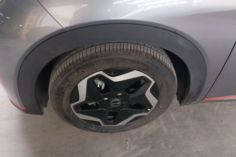 比亚迪 海豚 2021款 405km 时尚版车身外观6007