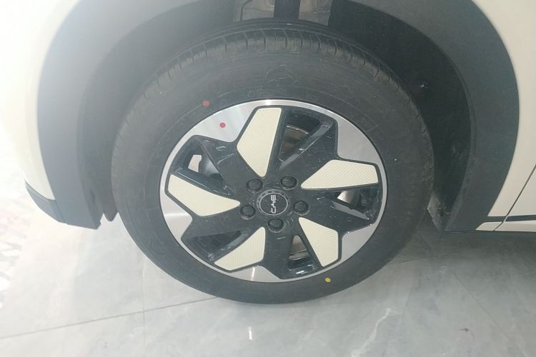 比亚迪 海豚 2025款 420km 自由版车身外观6007