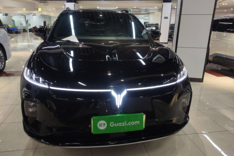 岚图汽车 岚图知音 2024款 长续航超充版车身外观6001