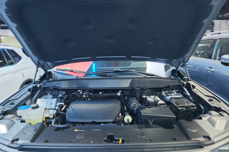 哈弗大狗 2024款 1.5T DCT边牧版机舱底盘24