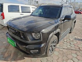 哈弗大狗 PLUS 新能源 2023款 DHT-PHEV 105km 潮电版Plus