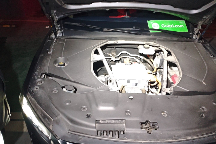 比亚迪 秦PLUS 2021款 EV 500KM 尊贵型局部细节9006