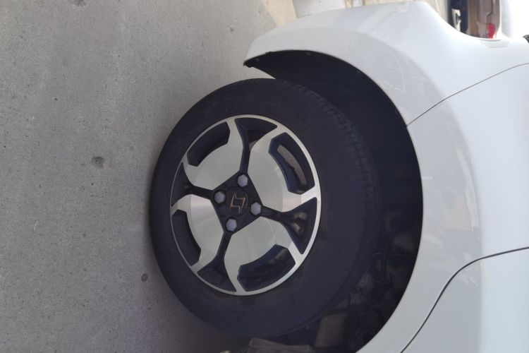 思皓 2022款 花仙子款 四叶草车身外观6008