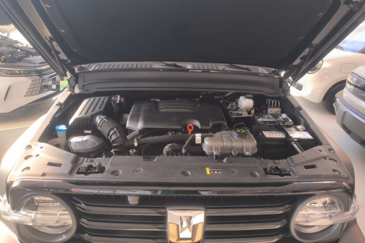 坦克300 2024款 2.0T 征服者机舱底盘24