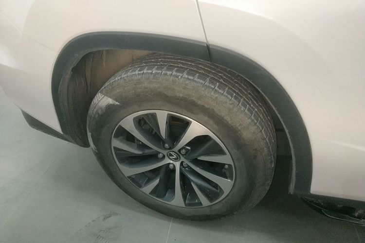 雷克萨斯RX 2020款 300 两驱精英版 国VI车身外观6008