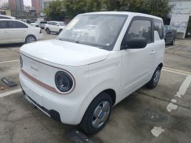 吉利银河 2024款 熊猫mini 200km 耐力熊