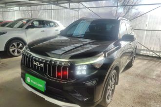 起亚 智跑 2021款 Ace 2.0L 精彩版