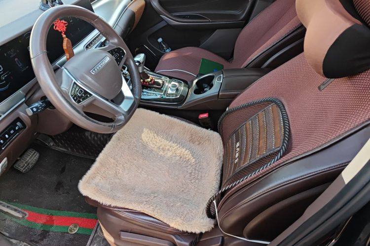 猎豹汽车 Mattu 2018款 1.6T GDI DCT精英型局部细节19