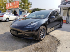 特斯拉 Model 3 2021款 标准续航后驱升级版