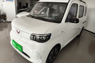 五菱汽车 五菱之光新能源 2025款 305km 进取型