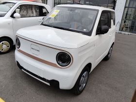 吉利银河 2024款 熊猫mini 200km 耐力熊