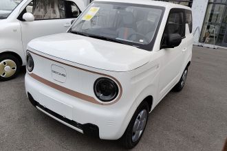 吉利银河 2024款 熊猫mini 200km 耐力熊