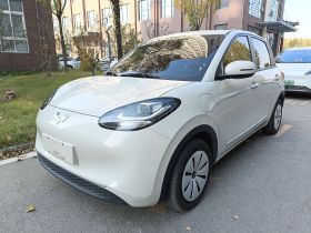 五菱汽车 五菱缤果 2024款 203km 轻享款