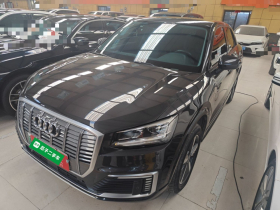 奥迪Q2L e-tron 2019款 Q2L e-tron 纯电智酷型