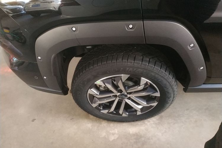 哈弗大狗 PLUS 2026款 2.0T 四驱潮野版车身外观6008