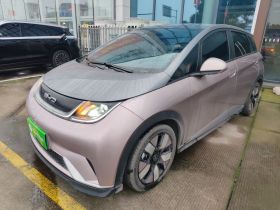 比亚迪 海豚 2023款 401km 骑士版