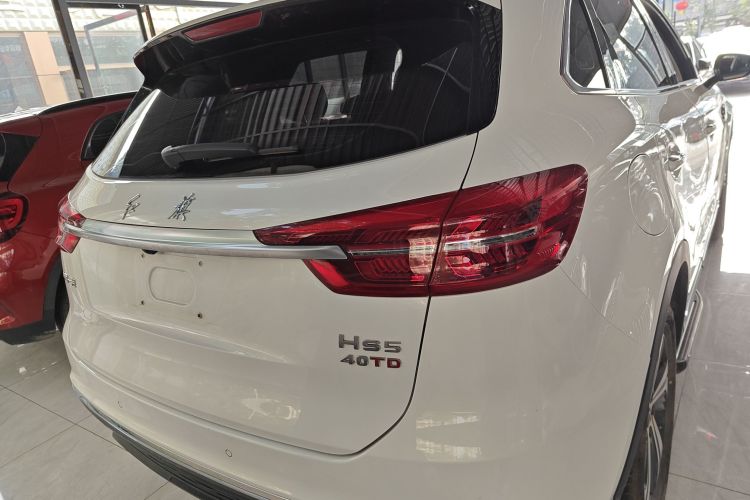 红旗HS5 2019款 2.0T 智联旗享版车身外观6