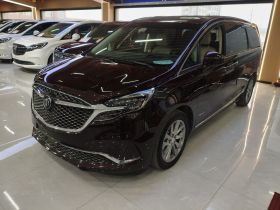 别克GL8 2020款 Avenir艾维亚 六座贤礼版