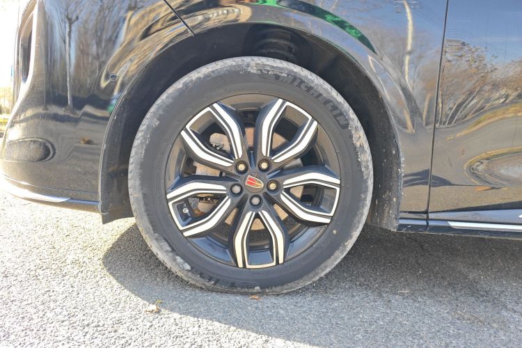 红旗HQ9 2023款 2.0T 智联旗享版车身外观6007