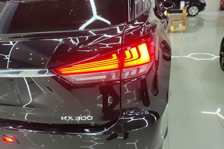 雷克萨斯RX 2020款 300 两驱精英版 国VI车身外观9