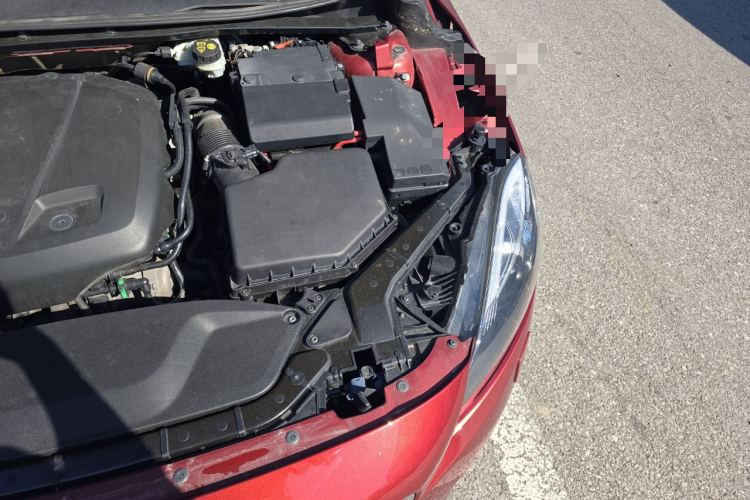 沃尔沃V40 2016款 T3 智逸版机舱底盘26