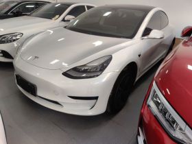 特斯拉 Model 3 2019款 标准续航后驱升级版