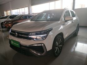大众 途岳 2023款 300TSI 两驱皎月版