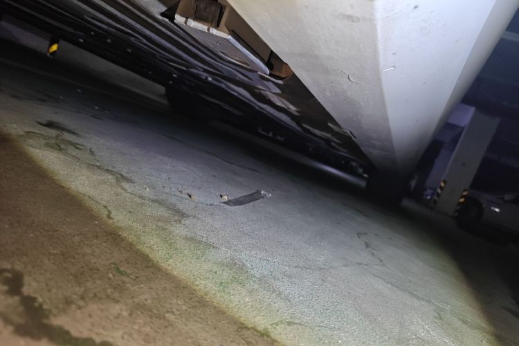 沃尔沃S60 2023款 B4 智远豪华版局部细节9002