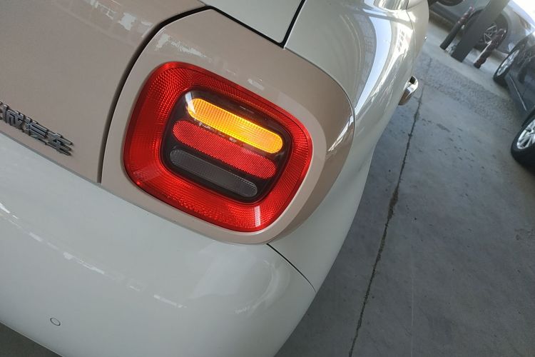 欧拉黑猫 2022款 301km 基础型 三元锂车身外观9