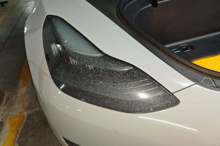 特斯拉 Model 3 2020款 标准续航后驱升级版车身外观8