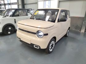 吉利银河 熊猫 2025款 210km 元气熊