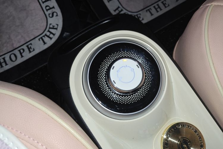 五菱汽车 五菱缤果 2023款 203km 舒享款中控内饰18