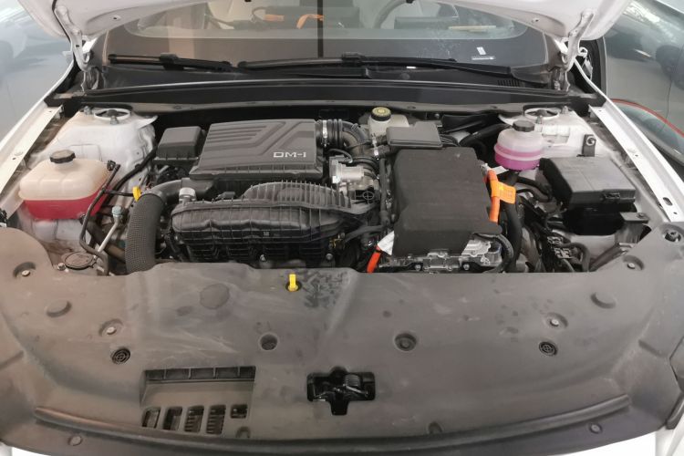 比亚迪 秦PLUS 2024款 荣耀版 DM-i 55KM领先型机舱底盘24