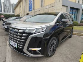 腾势D9 2022款 DM-i 1040 尊贵型