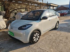 五菱汽车 五菱缤果 2023款 333km 灵犀互联款