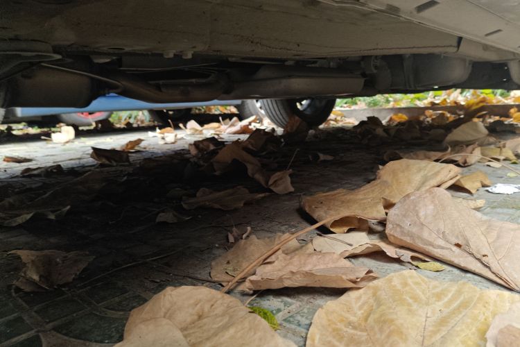 奇瑞 瑞虎8 PRO 2024款 冠军版 390T 两驱巅峰版 5座局部细节9004