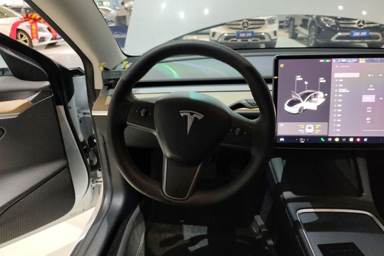 特斯拉 Model 3 2021款 标准续航后驱升级版 3D6中控内饰13