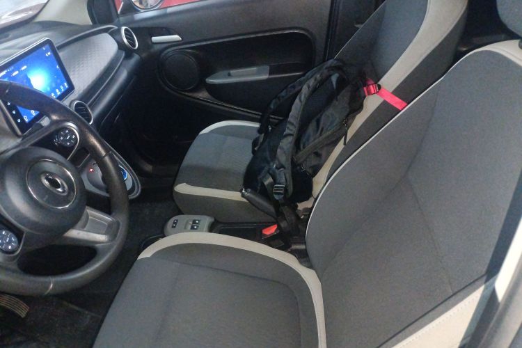 欧拉黑猫 2019款 301km 标准版中控内饰19