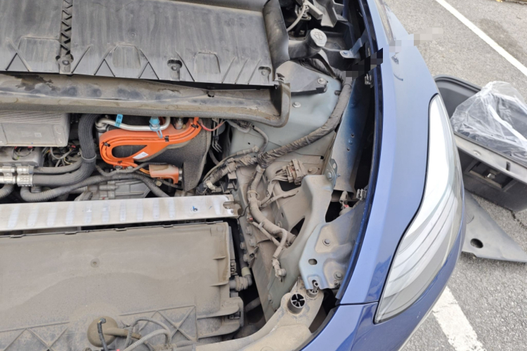 特斯拉 Model Y 2021款 长续航全轮驱动版 3D7局部细节9006