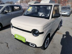 吉利银河 熊猫 2025款 210km 元气熊