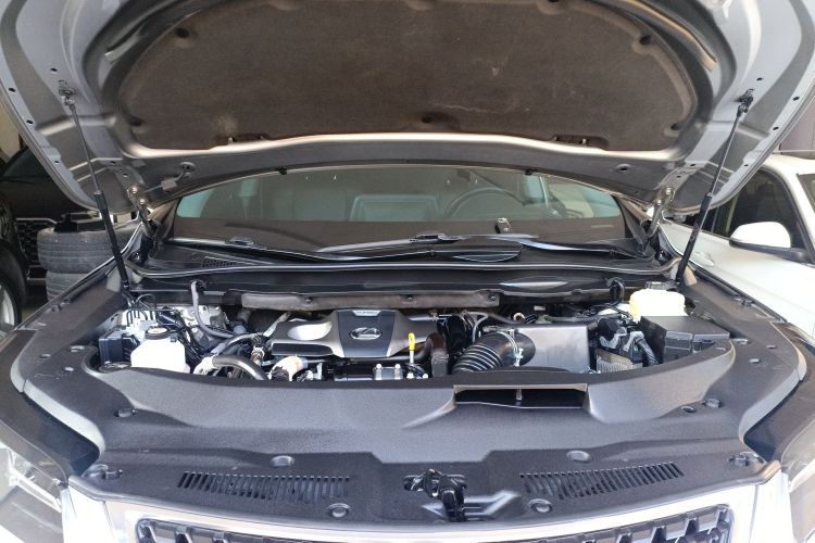 雷克萨斯RX 2020款 改款 300 两驱舒适版机舱底盘24