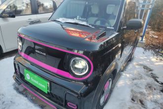 吉利银河 2025款 210km 熊猫卡丁