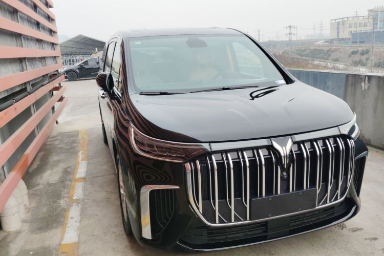 岚图汽车 岚图梦想家 2024款 PHEV 超长续航卓越版车身外观6002