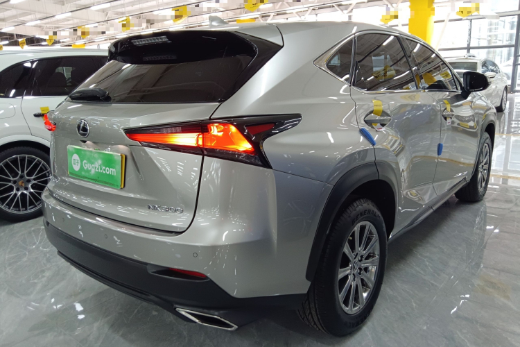 雷克萨斯NX 2020款 300 前驱 锋行版 国V车身外观7