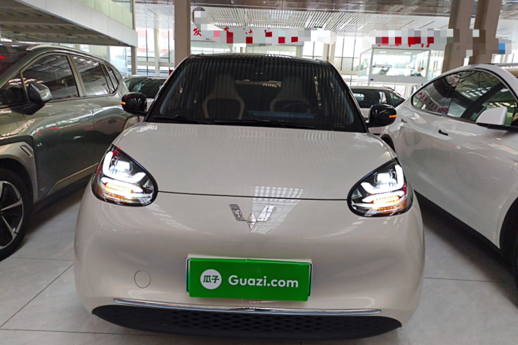 五菱汽车 五菱缤果 2024款 333km 悦享款车身外观6001