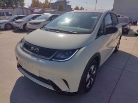 比亚迪 海豚 2025款 420km 自由版