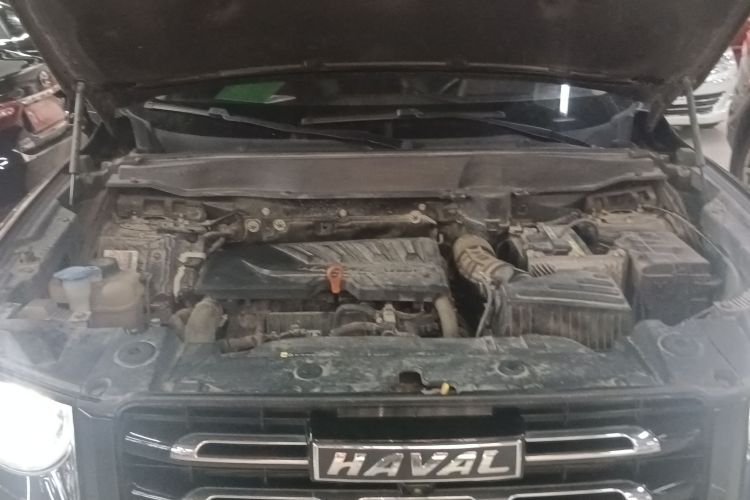 哈弗大狗 2021款 1.5T DCT两驱拉布拉多版机舱底盘24