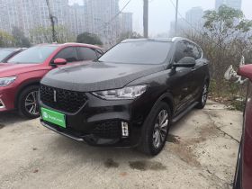 魏牌 VV6 2018款 2.0T 两驱超豪型 国V