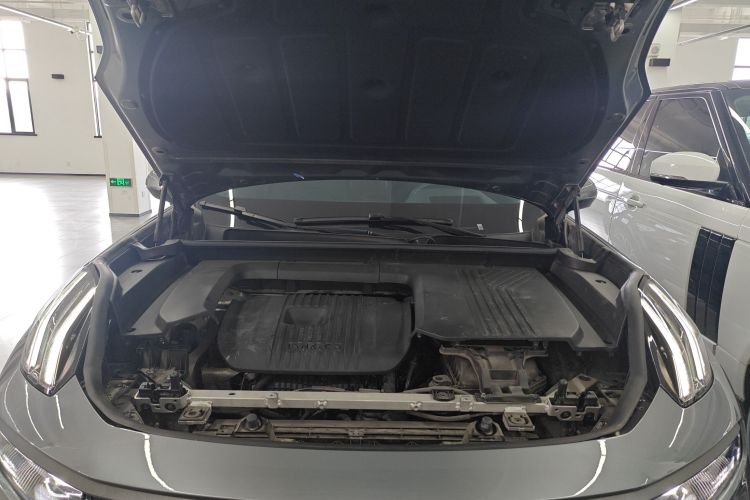 领克09 EM-P 2021款 2.0T PHEV Halo 六座局部细节24